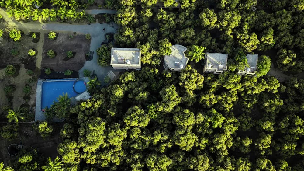 Aerial view