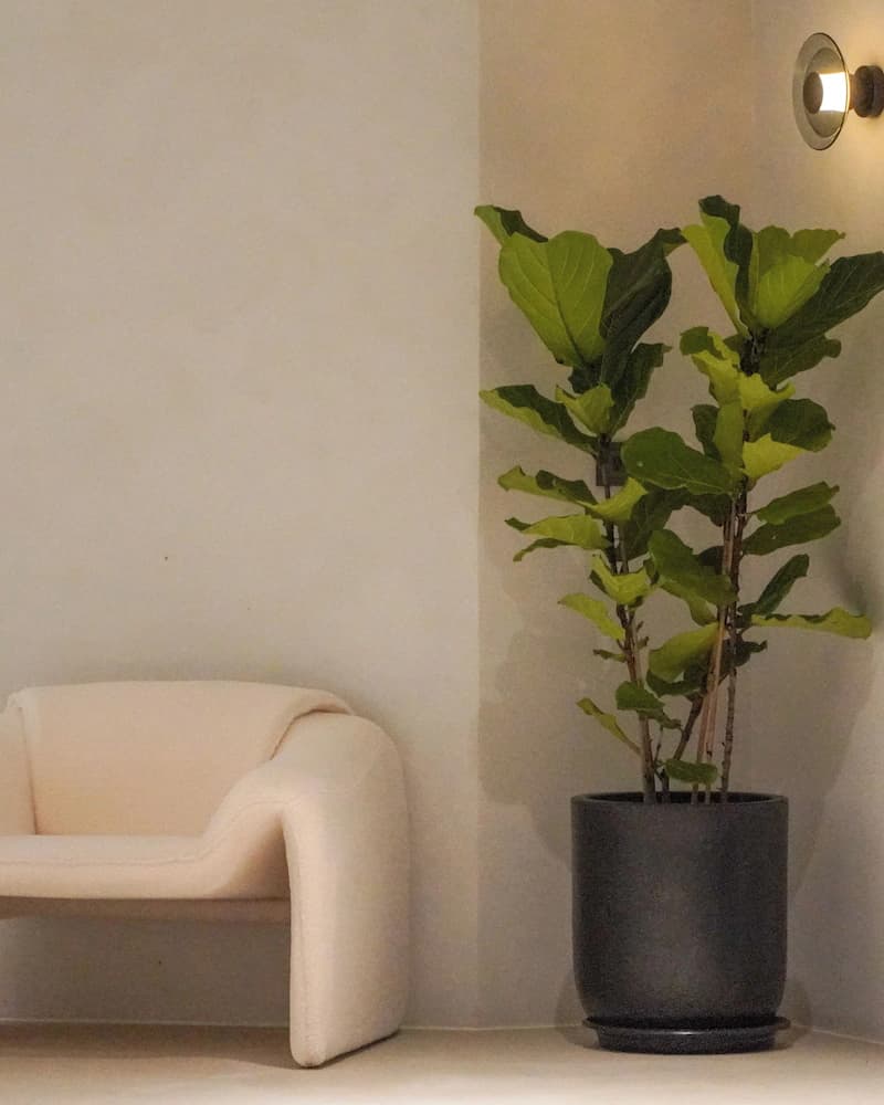 Interior detail