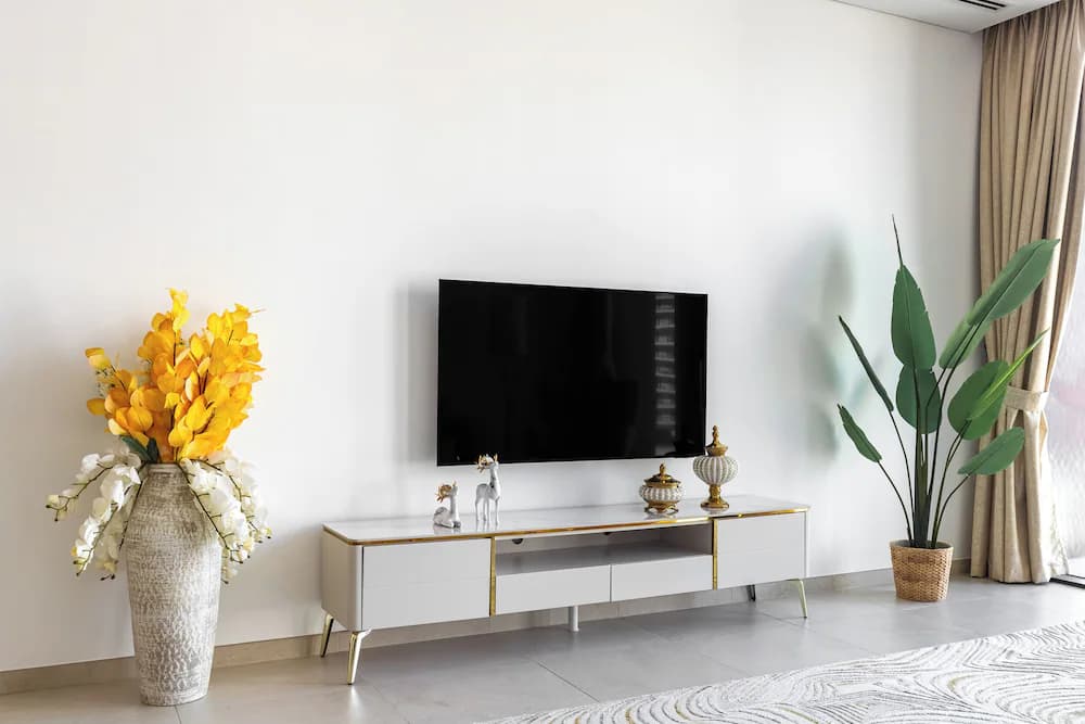 Television