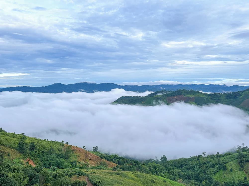 View from property