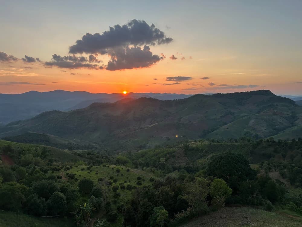 View from property