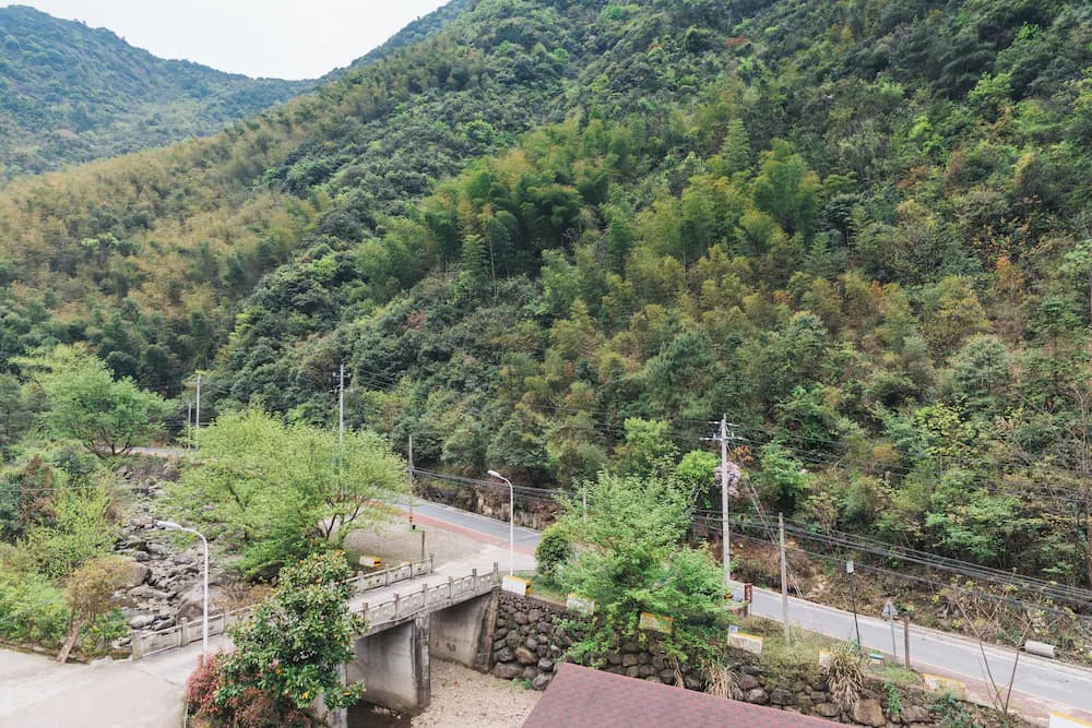 View from room