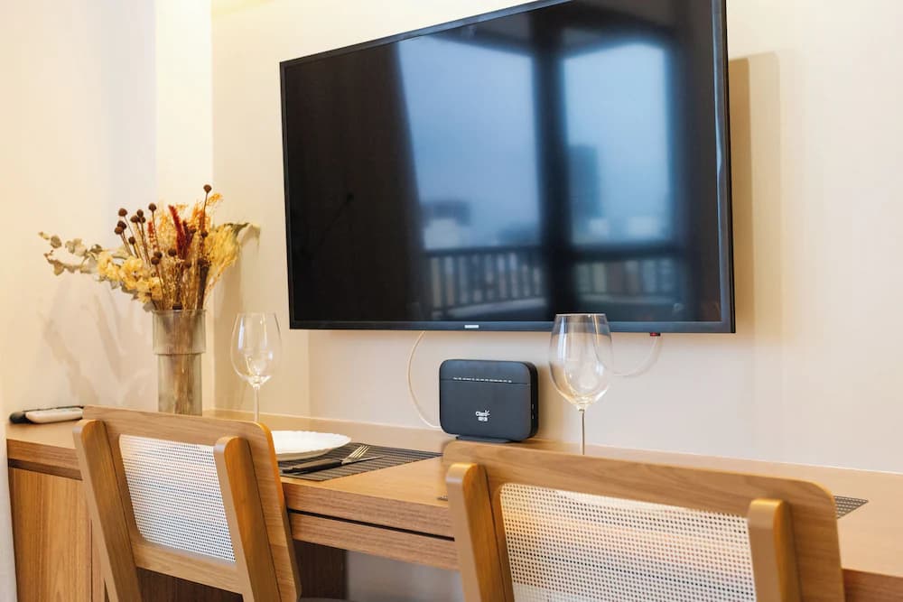 Television