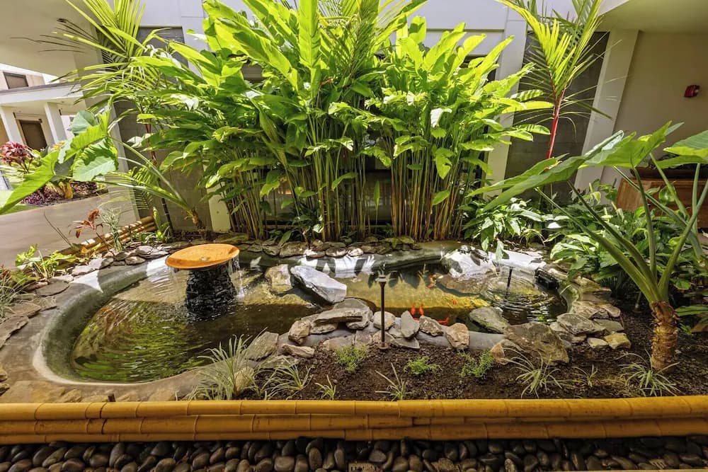 Garden view