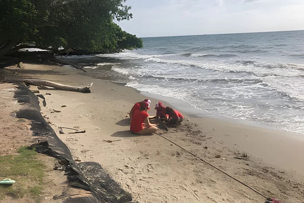 Beach