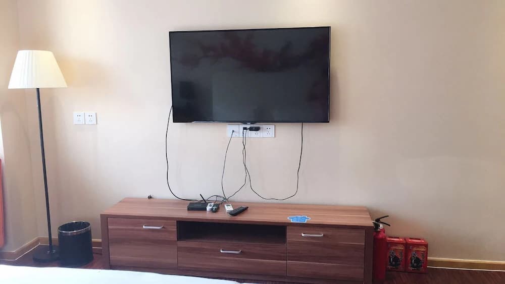 Television