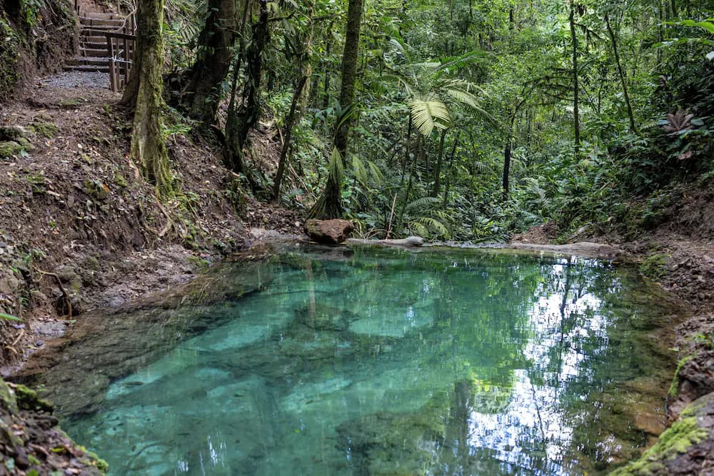 Natural pool