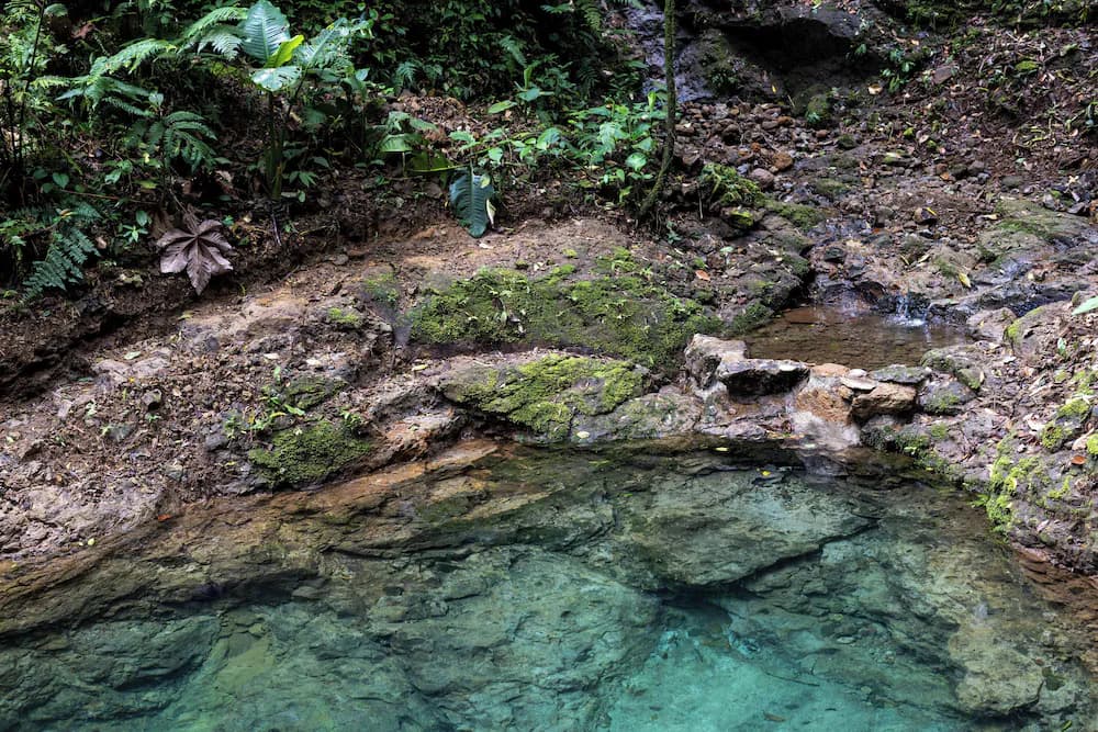 Natural pool
