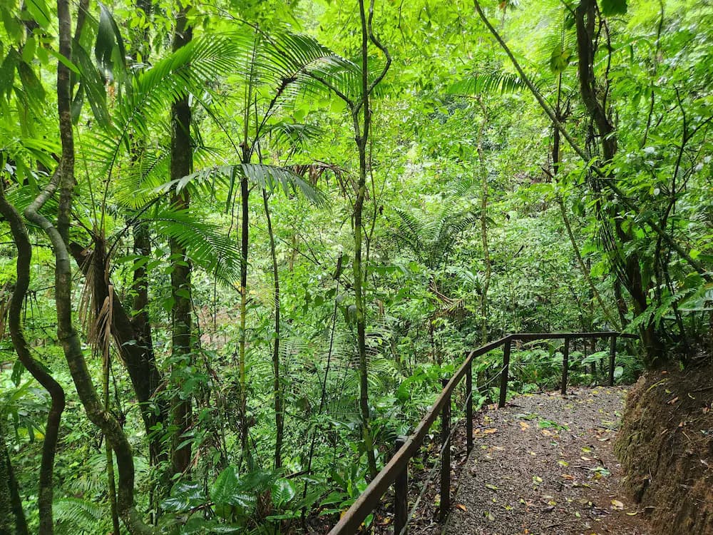 Hiking