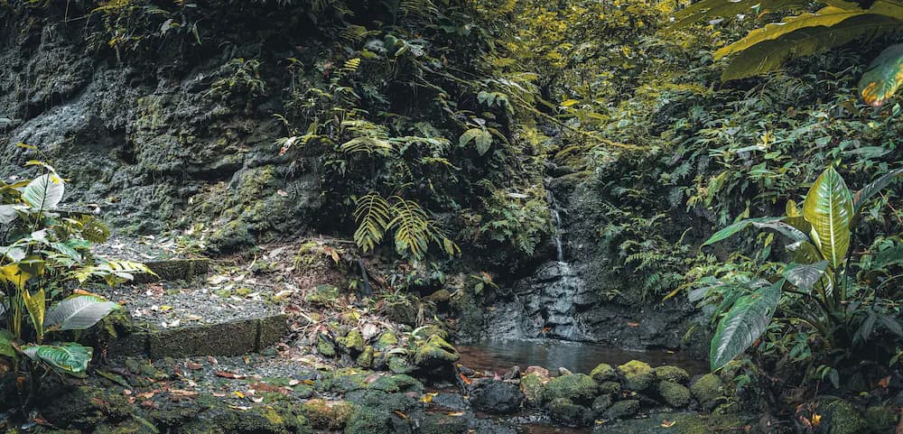 Natural pool