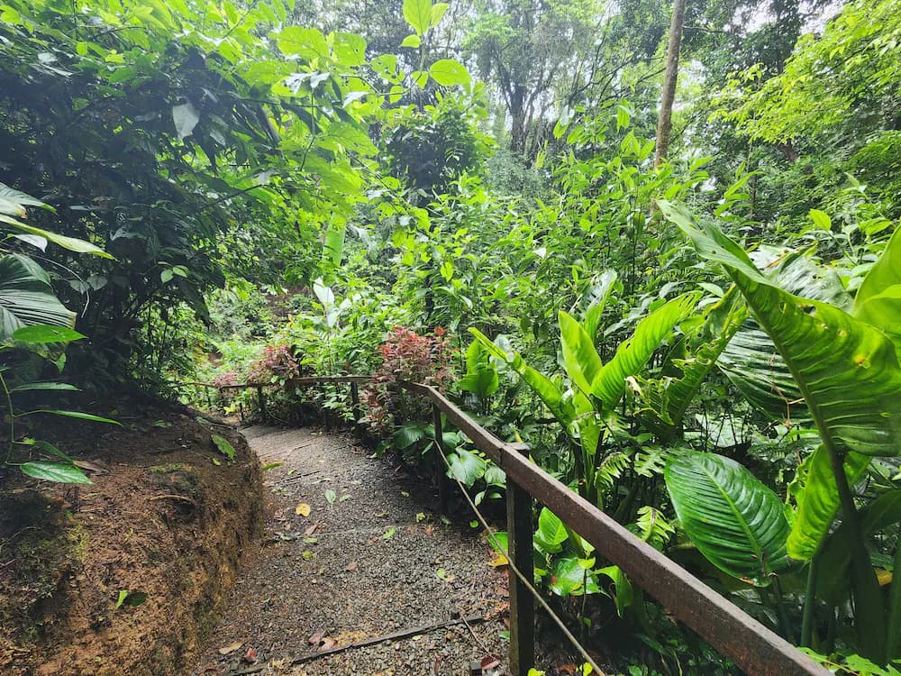 Hiking