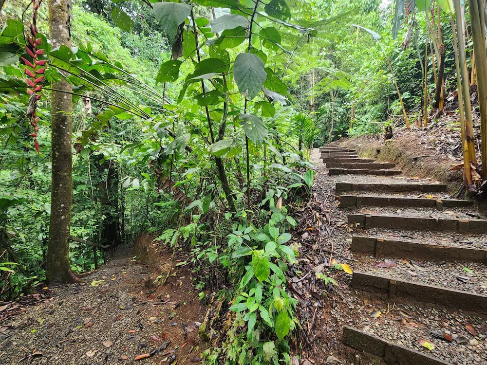 Hiking
