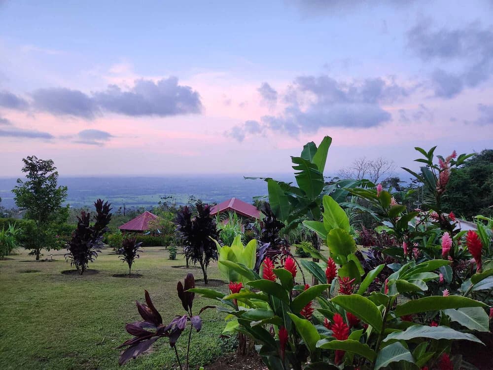 City view from property