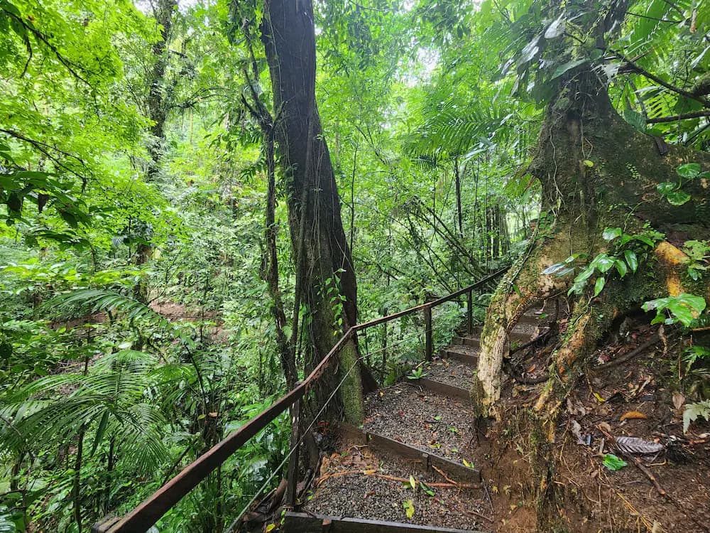 Hiking