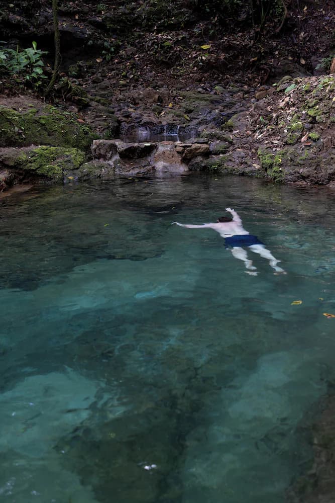 Natural pool