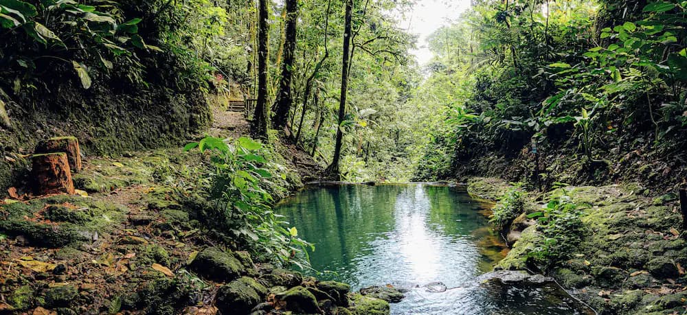 Natural pool