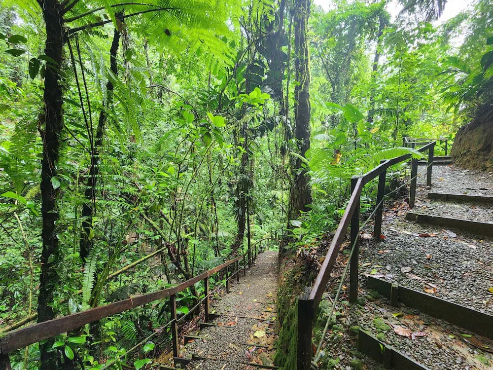 Hiking