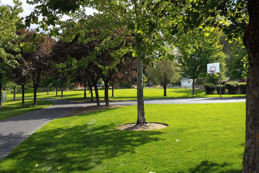 Property grounds