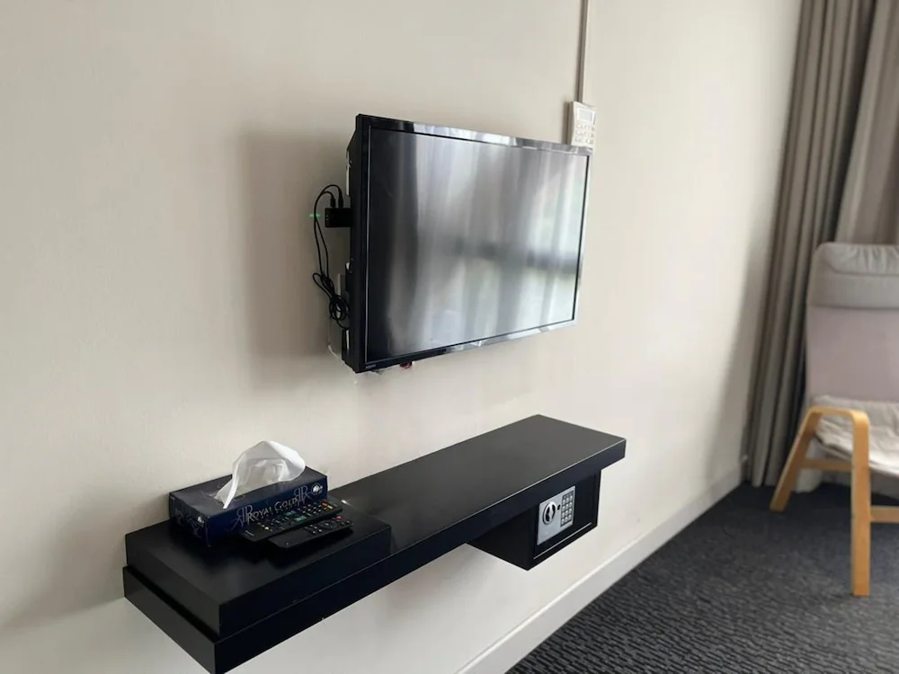 Television