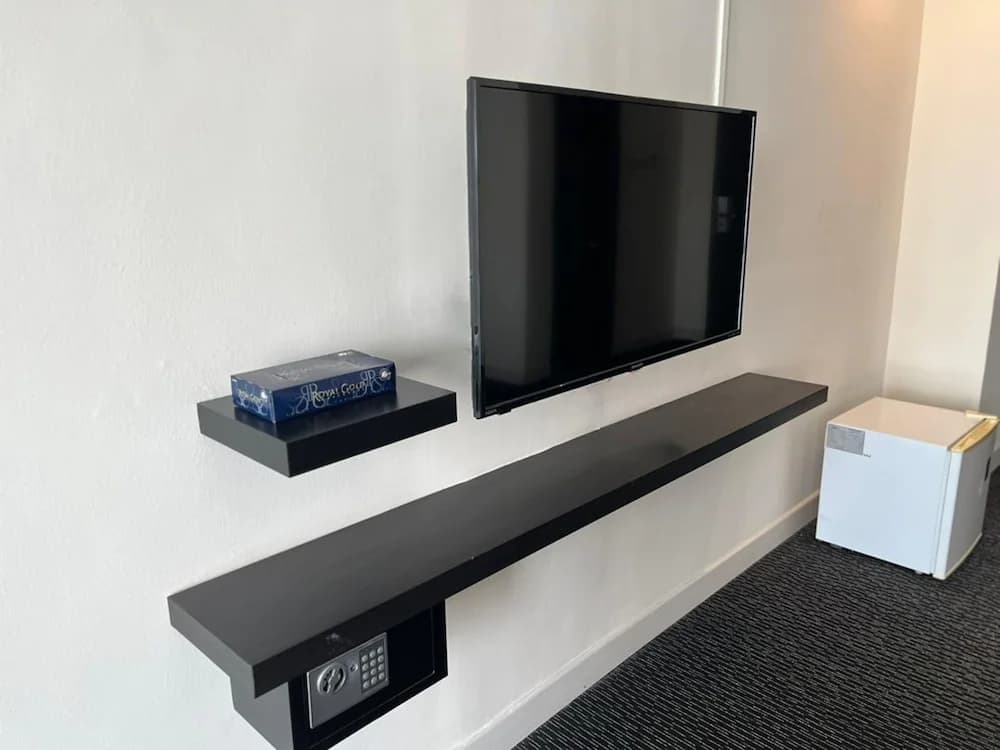 Television