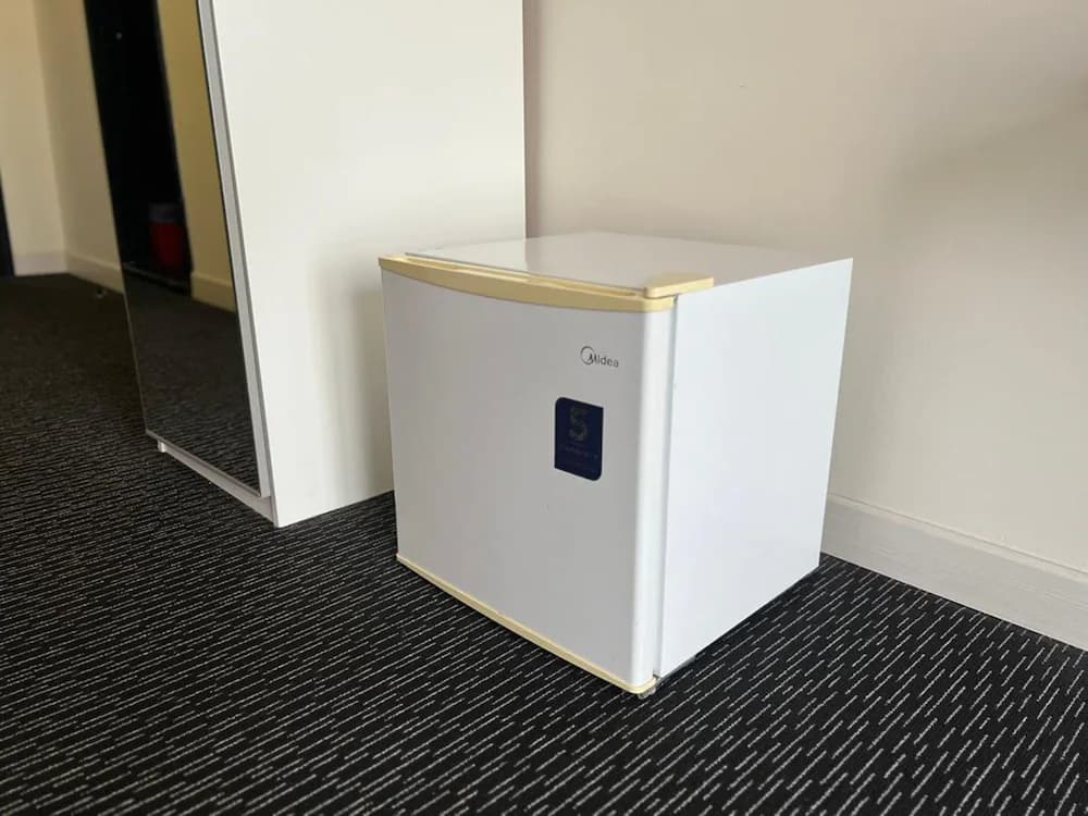 Mini-refrigerator