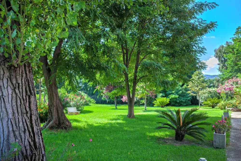 Garden