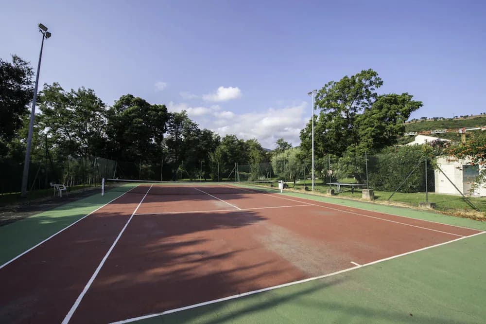Tennis court