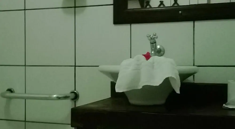 Bathroom sink