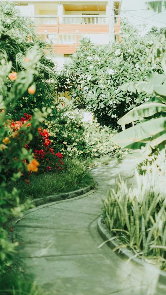 Garden view