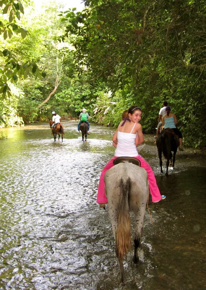 Horseback riding