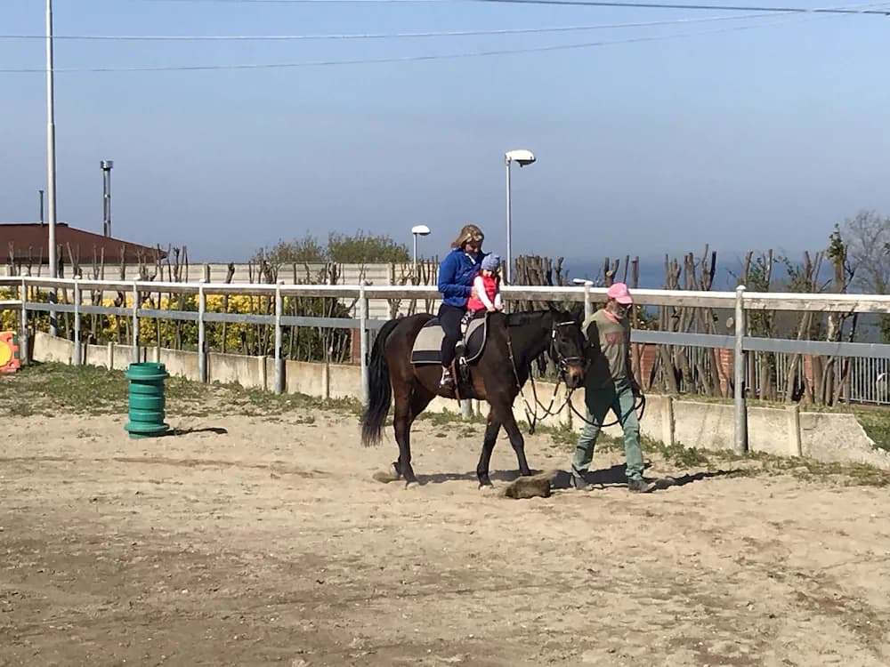 Horseback riding