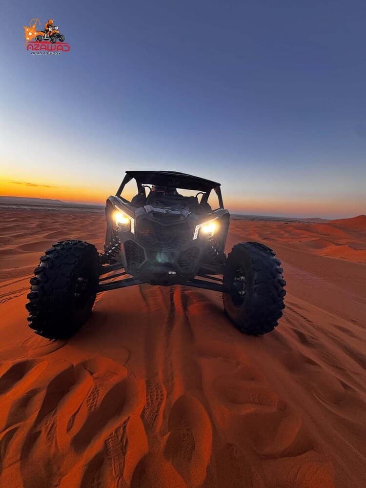 Safari