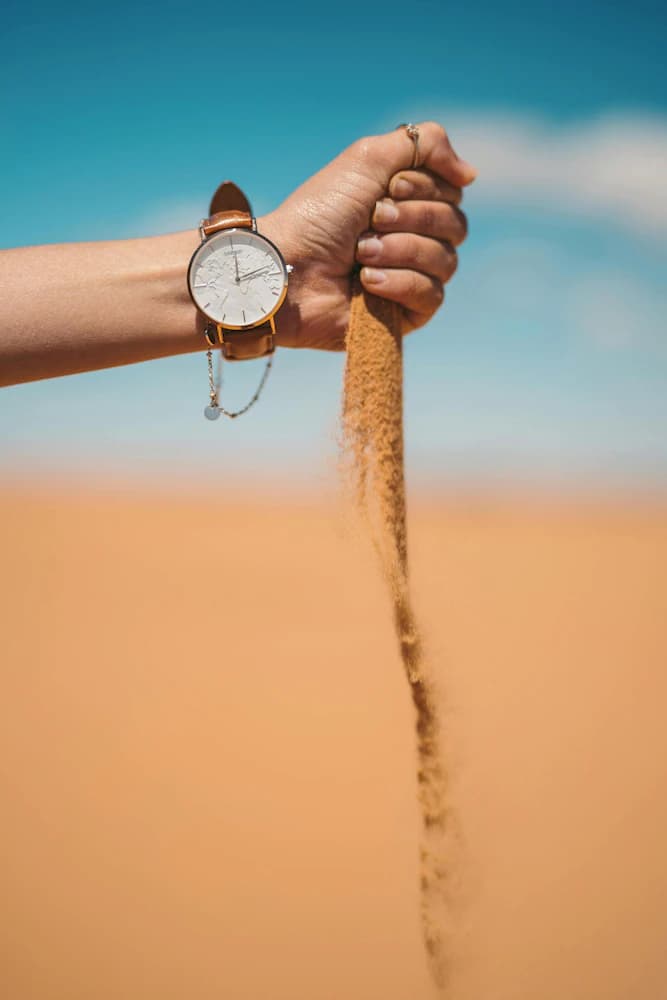 Safari