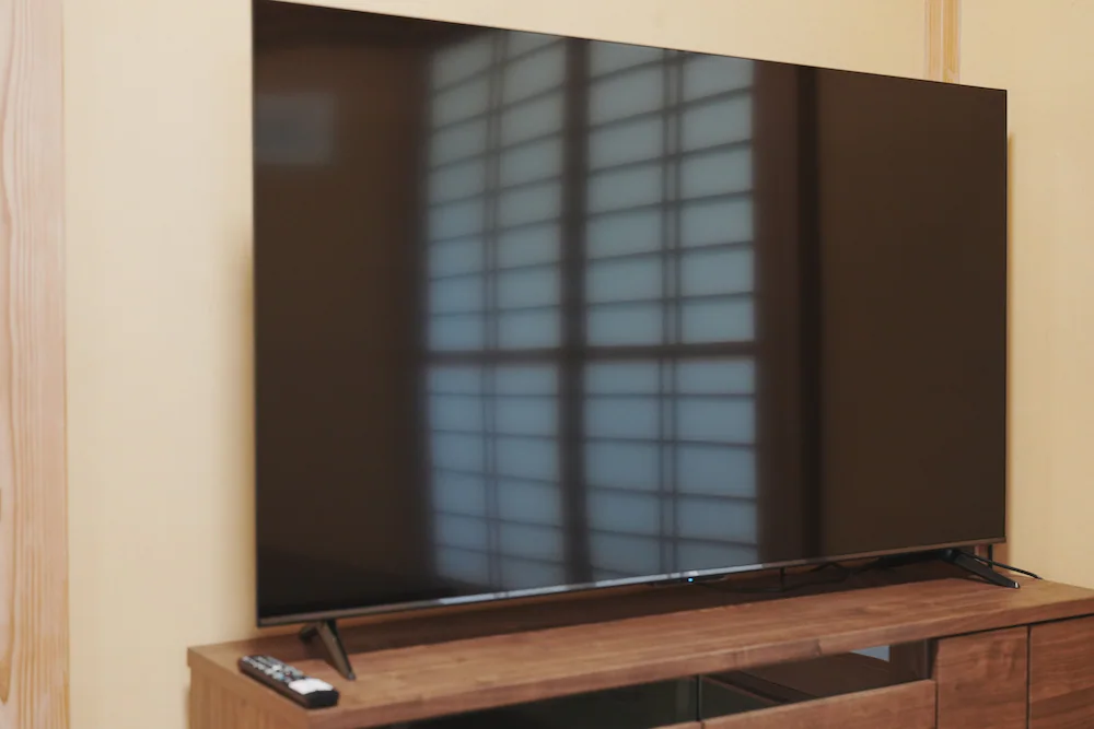 Television
