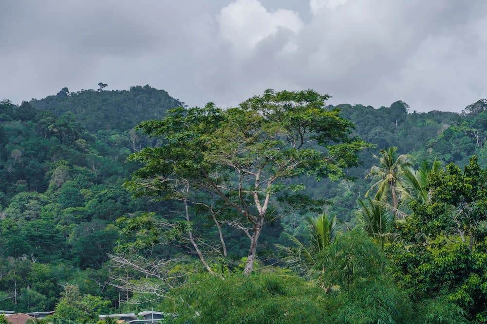 View from property