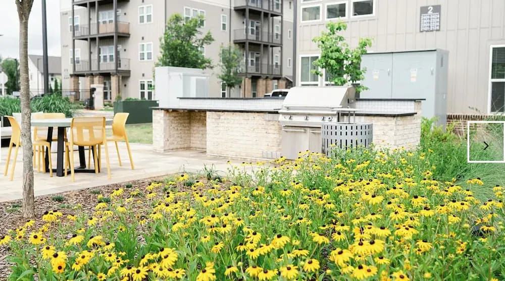 BBQ/picnic area