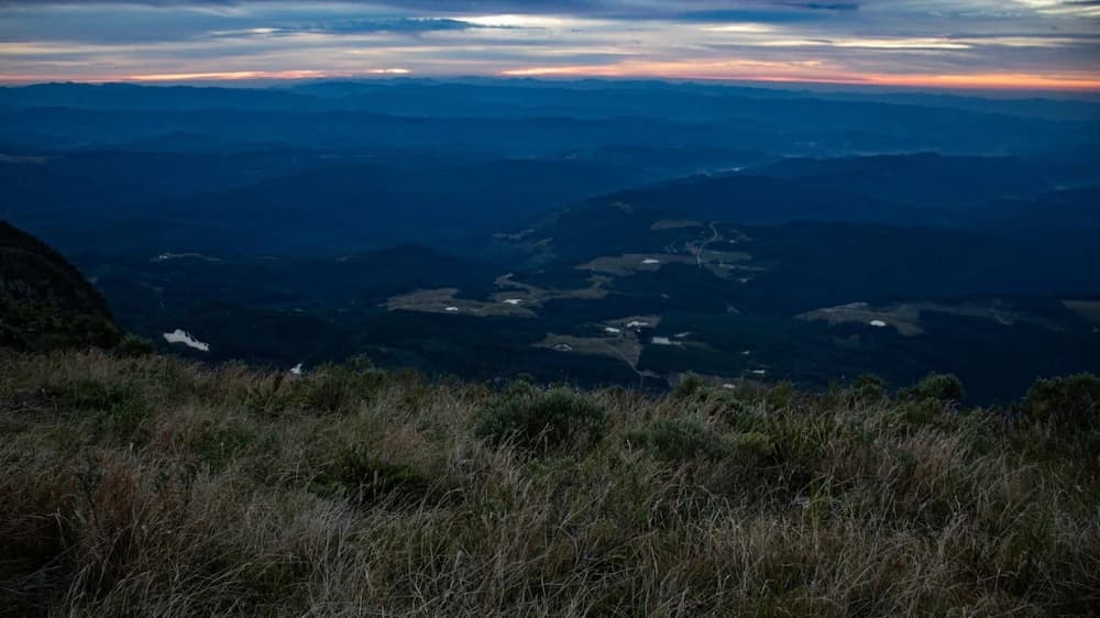 Mountain view