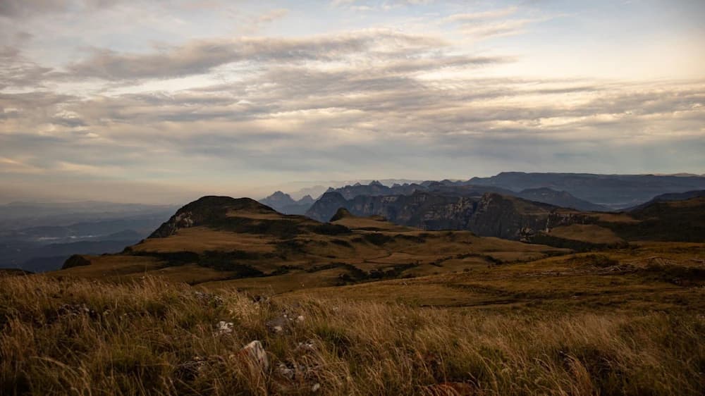 Mountain view