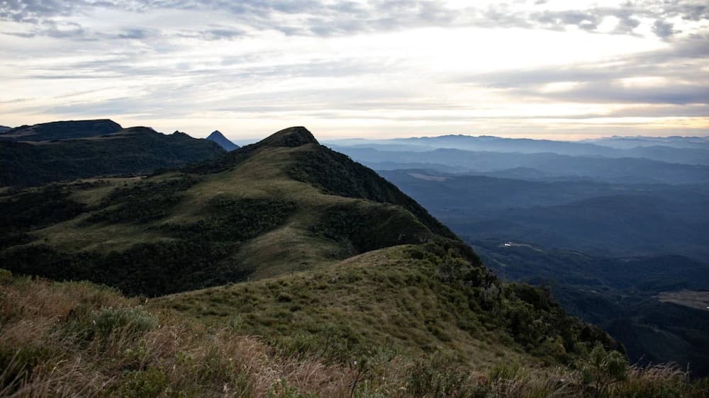 Mountain view