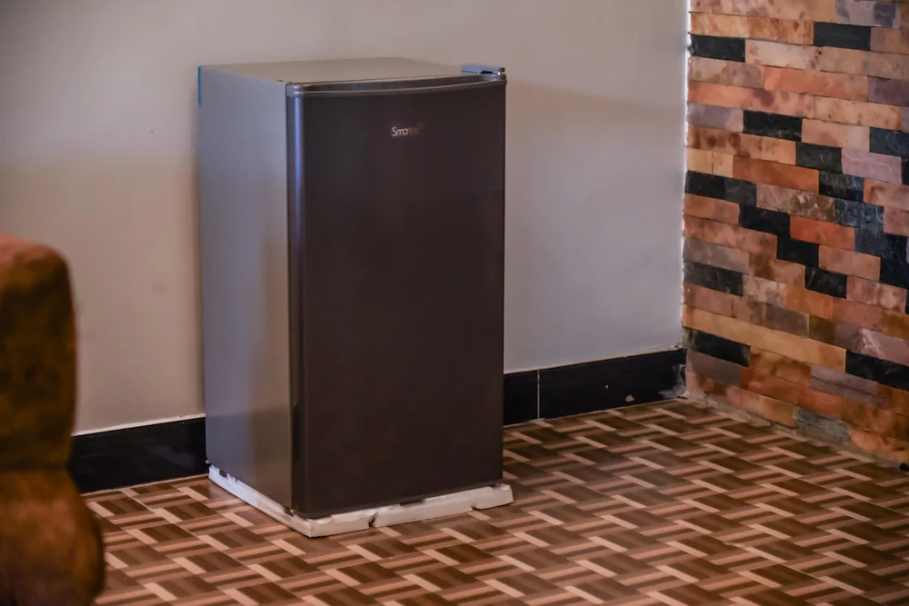 Mini-refrigerator
