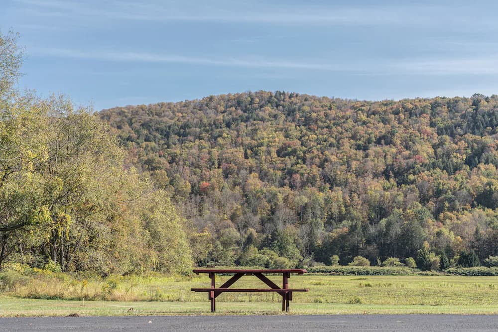BBQ/picnic area