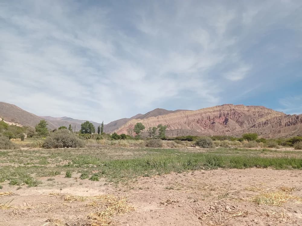 View from property