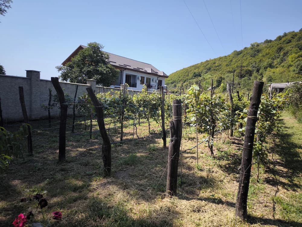 Winery