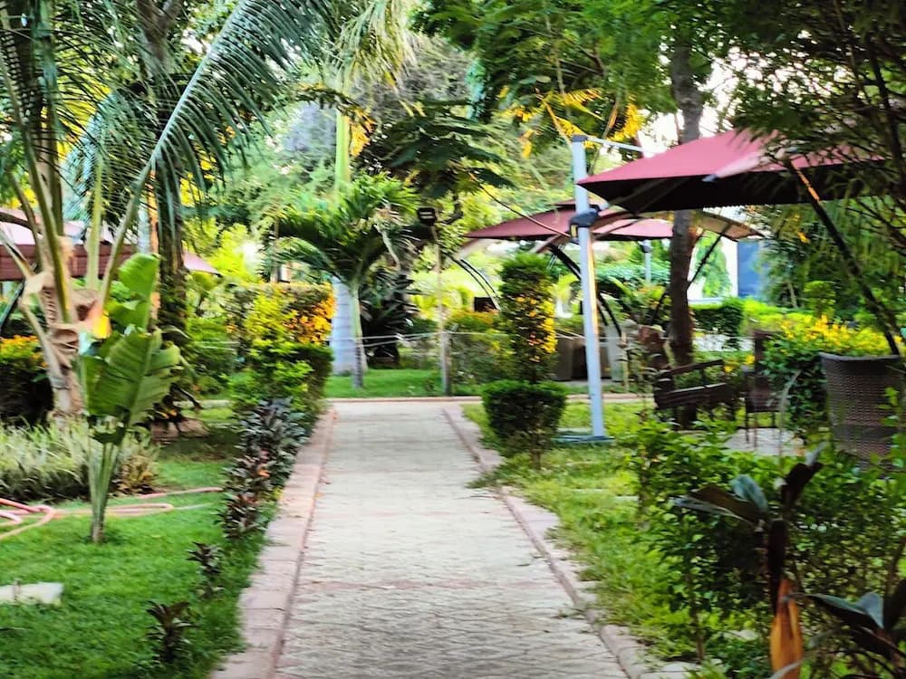 Garden