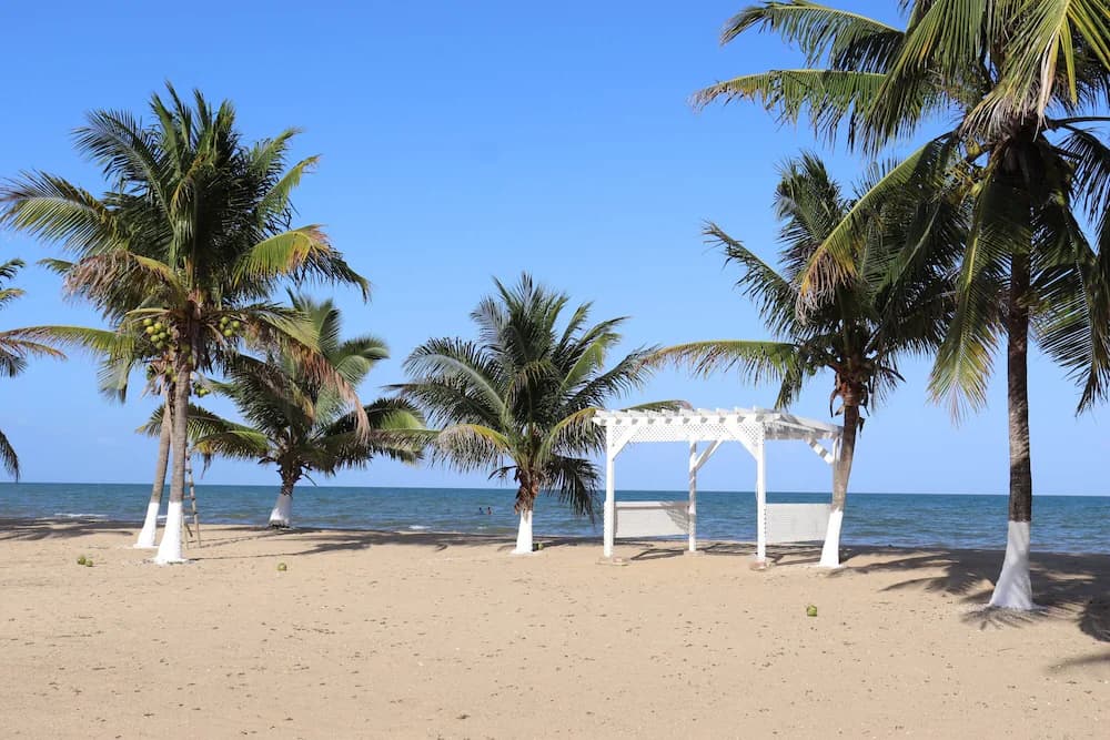 Beach