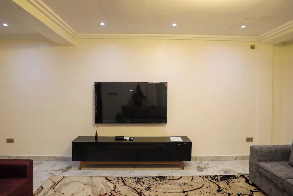 Television