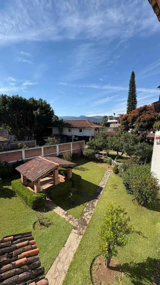 Garden view