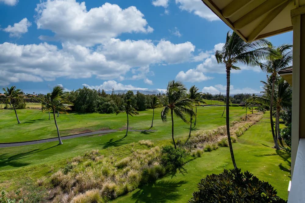 View from property