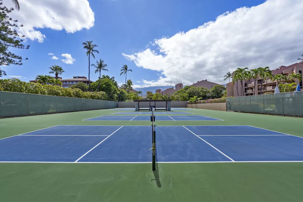 Sport court
