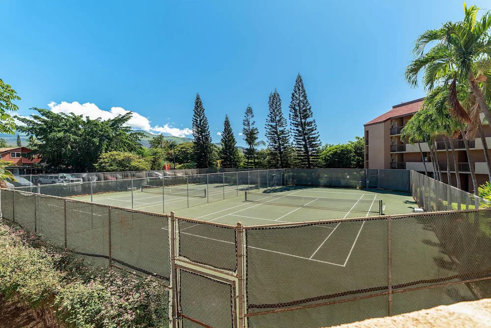 Sport court